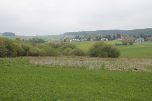 Station 3 – Naturgebilde Niedermoor  